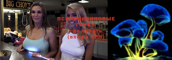 дурь Медвежьегорск