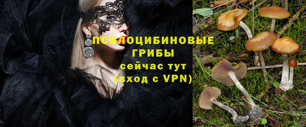 дурь Медвежьегорск
