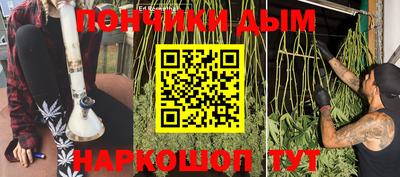 прущие грибы Апшеронск