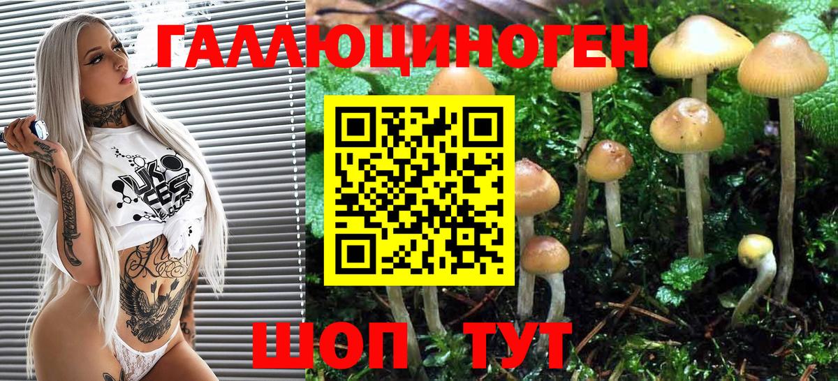 Галлюциногенные грибы прущие грибы  Белорецк  Галлюциногенные грибы Magic Shrooms 