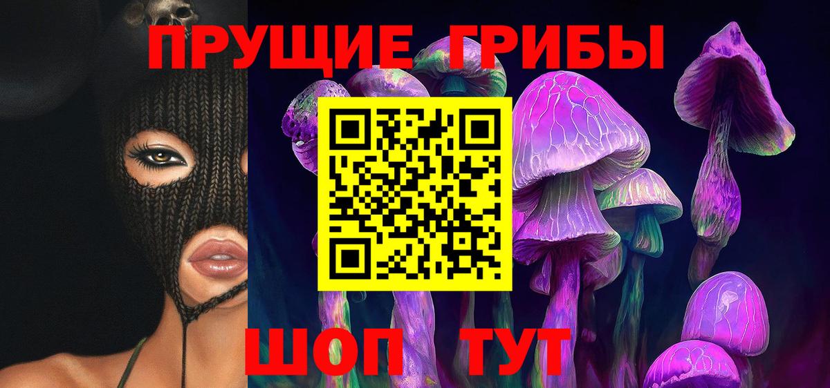Псилоцибиновые грибы Psilocybine cubensis Белорецк